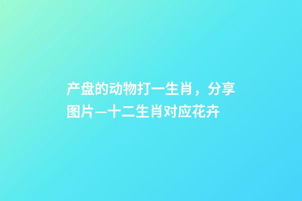 产盘的动物打一生肖，分享图片—十二生肖对应花卉-第1张-观点-玄机派