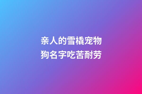 亲人的雪橇宠物狗名字吃苦耐劳