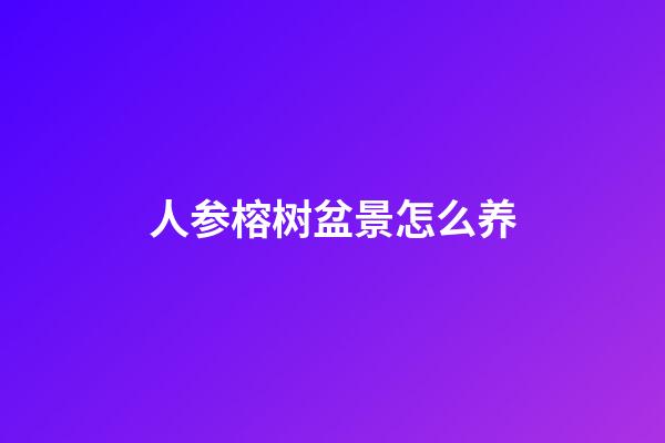 人参榕树盆景怎么养
