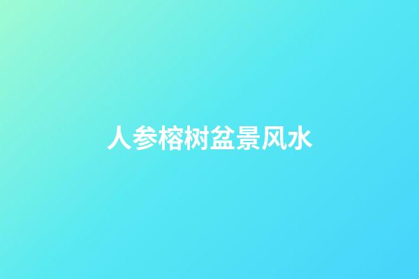 人参榕树盆景风水