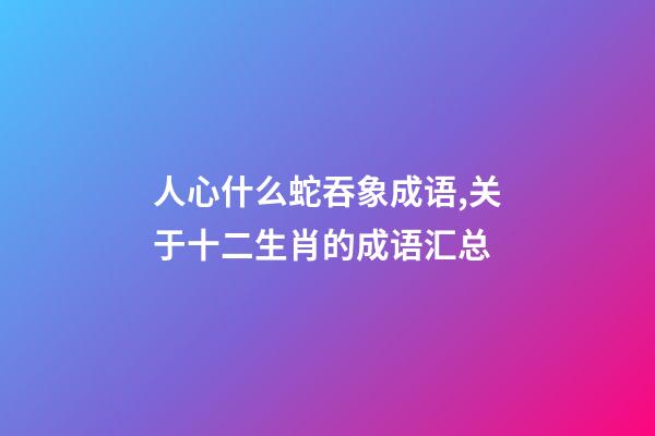 人心什么蛇吞象成语,关于十二生肖的成语汇总-第1张-观点-玄机派