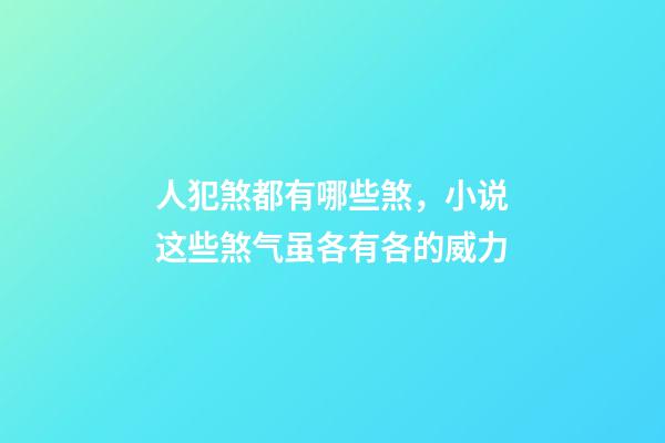 人犯煞都有哪些煞，小说这些煞气虽各有各的威力-第1张-观点-玄机派