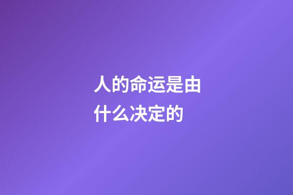人的命运是由什么决定的