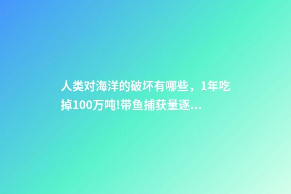 人类对海洋的破坏有哪些，1年吃掉100万吨!带鱼捕获量逐年下降-第1张-观点-玄机派