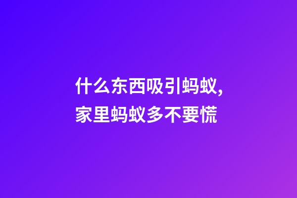 什么东西吸引蚂蚁,家里蚂蚁多不要慌-第1张-观点-玄机派
