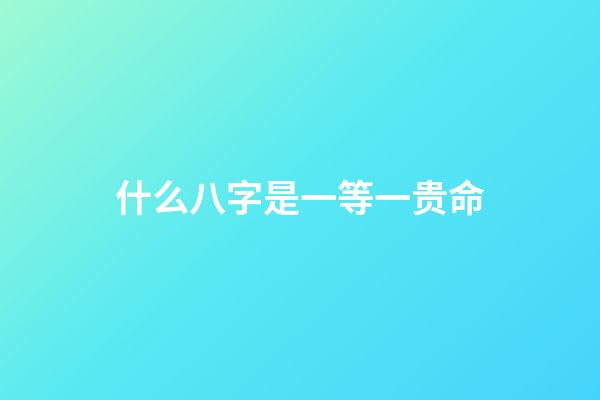 什么八字是一等一贵命