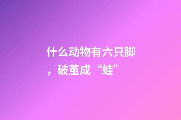 什么动物有六只脚，破茧成“蛙”-第1张-观点-玄机派