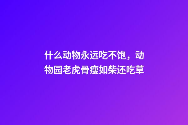 什么动物永远吃不饱，动物园老虎骨瘦如柴还吃草-第1张-观点-玄机派