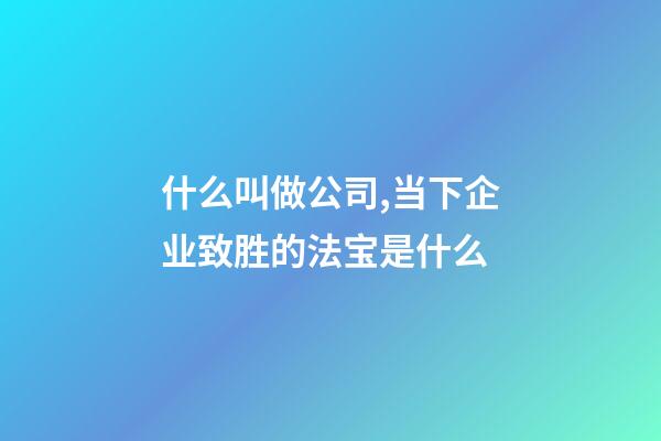 什么叫做公司,当下企业致胜的法宝是什么-第1张-观点-玄机派