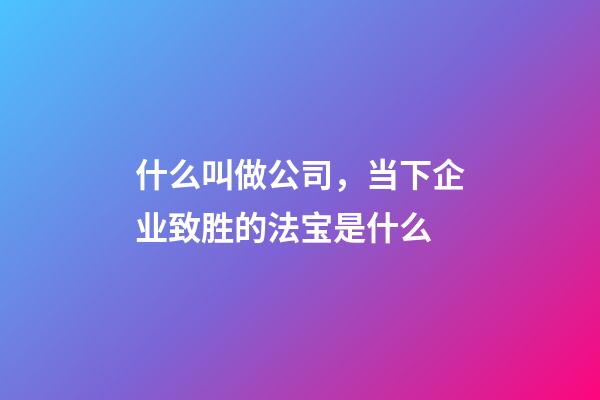 什么叫做公司，当下企业致胜的法宝是什么-第1张-观点-玄机派
