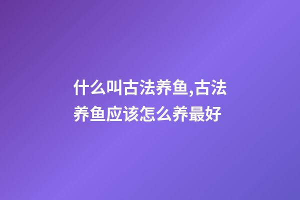 什么叫古法养鱼,古法养鱼应该怎么养最好-第1张-观点-玄机派