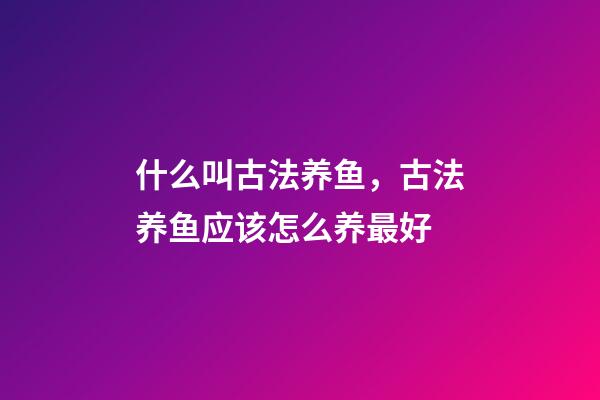什么叫古法养鱼，古法养鱼应该怎么养最好-第1张-观点-玄机派