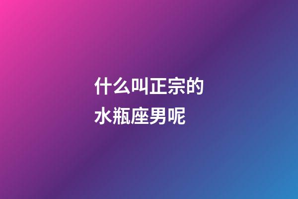 什么叫正宗的水瓶座男呢-第1张-星座运势-玄机派