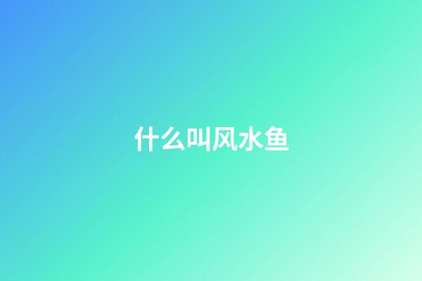 什么叫风水鱼