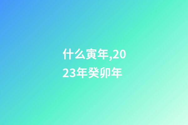 什么寅年,2023年癸卯年-第1张-观点-玄机派