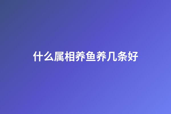 什么属相养鱼养几条好