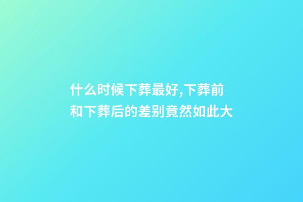 什么时候下葬最好,下葬前和下葬后的差别竟然如此大-第1张-观点-玄机派