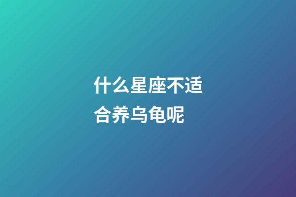 什么星座不适合养乌龟呢-第1张-星座运势-玄机派