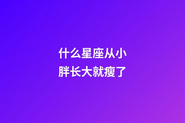 什么星座从小胖长大就瘦了-第1张-星座运势-玄机派
