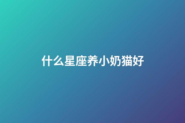 什么星座养小奶猫好-第1张-星座运势-玄机派