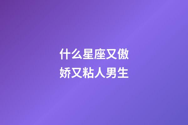 什么星座又傲娇又粘人男生-第1张-星座运势-玄机派