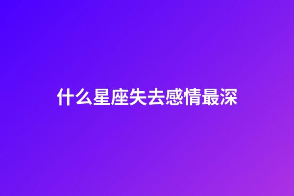 什么星座失去感情最深-第1张-星座运势-玄机派