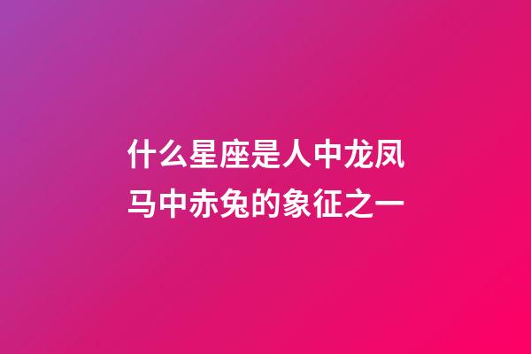 什么星座是人中龙凤马中赤兔的象征之一-第1张-星座运势-玄机派