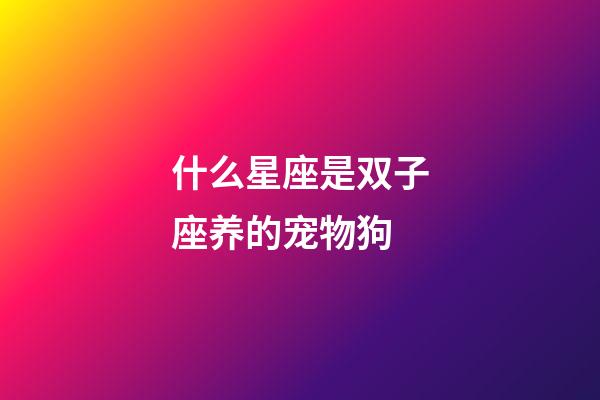 什么星座是双子座养的宠物狗-第1张-星座运势-玄机派