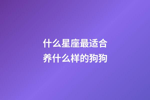 什么星座最适合养什么样的狗狗-第1张-星座运势-玄机派
