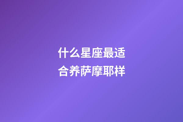 什么星座最适合养萨摩耶样-第1张-星座运势-玄机派