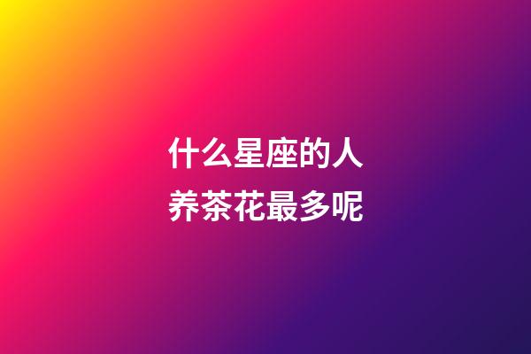 什么星座的人养茶花最多呢-第1张-星座运势-玄机派