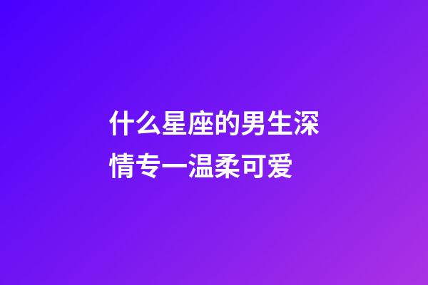 什么星座的男生深情专一温柔可爱-第1张-星座运势-玄机派