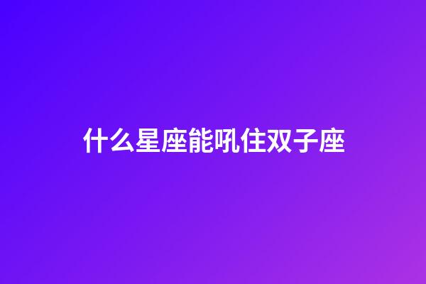 什么星座能吼住双子座-第1张-星座运势-玄机派