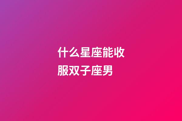 什么星座能收服双子座男-第1张-星座运势-玄机派