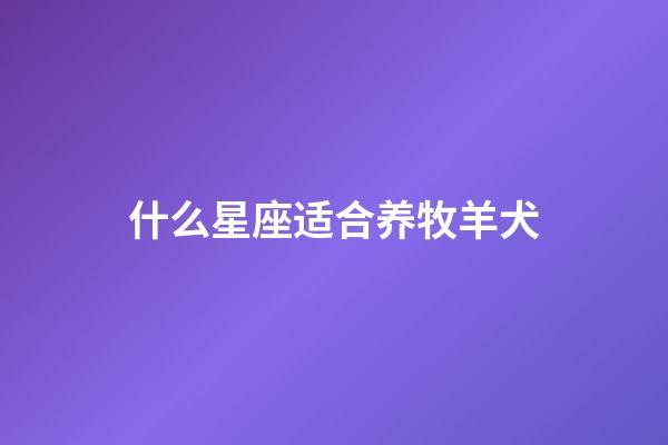 什么星座适合养牧羊犬-第1张-星座运势-玄机派