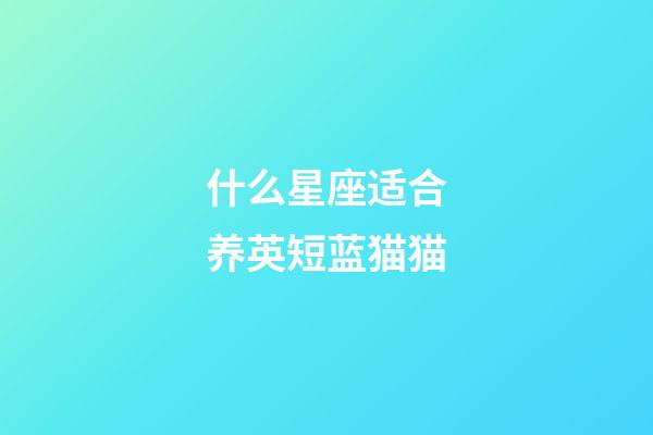 什么星座适合养英短蓝猫猫-第1张-星座运势-玄机派