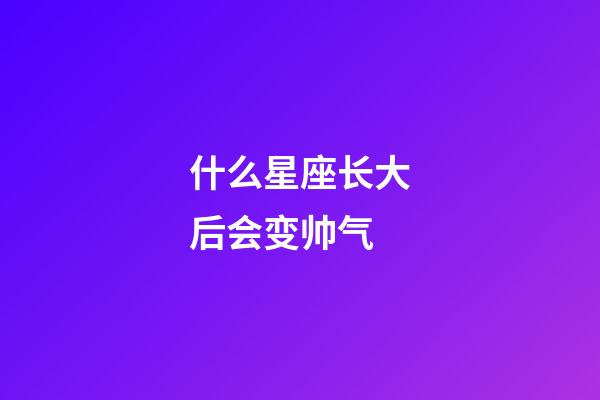 什么星座长大后会变帅气-第1张-星座运势-玄机派