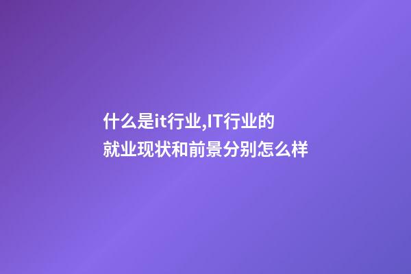 什么是it行业,IT行业的就业现状和前景分别怎么样-第1张-观点-玄机派