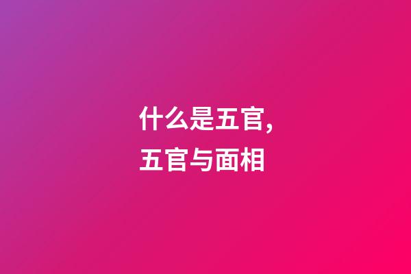 什么是五官,五官与面相