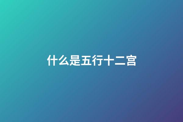 什么是五行十二宫