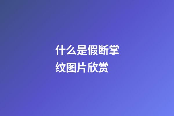 什么是假断掌纹图片欣赏