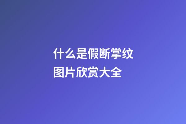 什么是假断掌纹图片欣赏大全