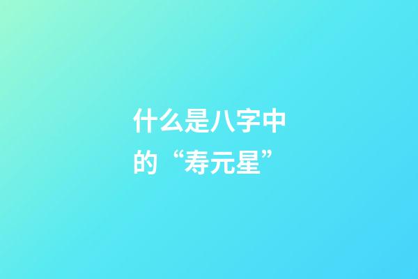 什么是八字中的“寿元星”?