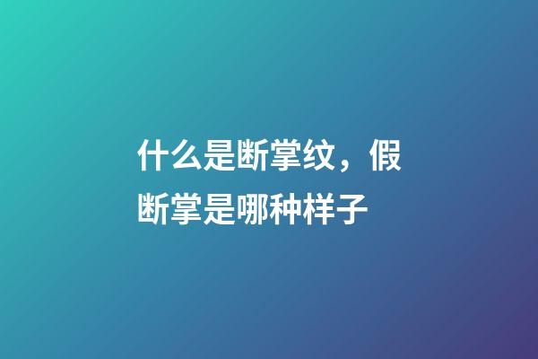 什么是断掌纹，假断掌是哪种样子-第1张-观点-玄机派