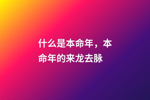 什么是本命年，本命年的来龙去脉-第1张-观点-玄机派