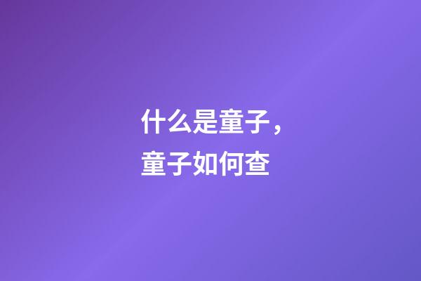 什么是童子，童子如何查