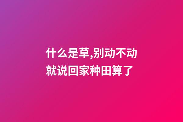 什么是草,别动不动就说回家种田算了-第1张-观点-玄机派