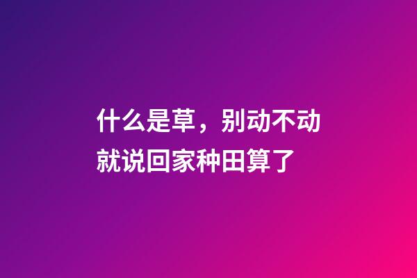 什么是草，别动不动就说回家种田算了-第1张-观点-玄机派