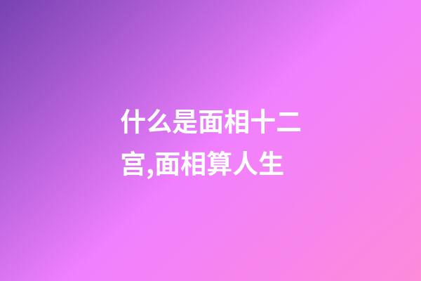 什么是面相十二宫,面相算人生