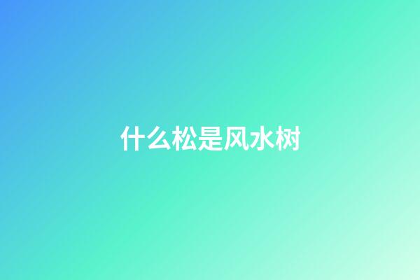 什么松是风水树